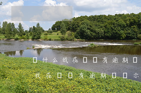 為什么我花唄沒有逾期卻顯示逾期-為什么我花唄沒有逾期卻顯示逾期了