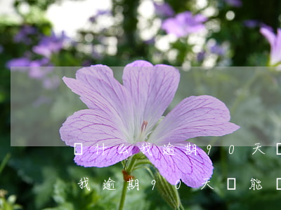 為什么我逾期90天還能辦信用卡-為什么我逾期90天還能辦信用卡呢