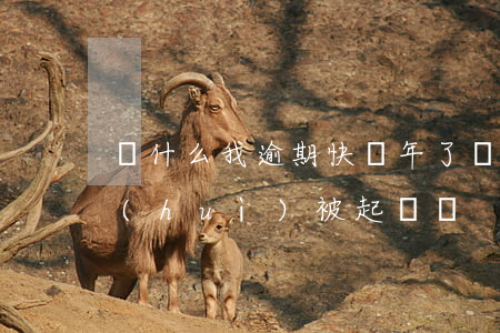 為什么我逾期快兩年了沒被起訴(逾期兩年會(huì)被起訴嗎)