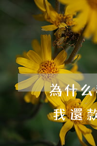 為什么我還款了征信還顯示逾期了-為什么我還款了征信還顯示逾期了呢