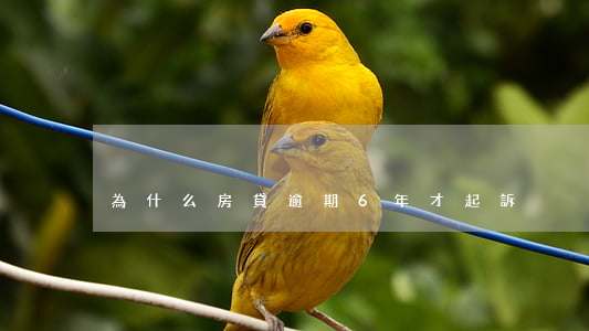 為什么房貸逾期6年才起訴