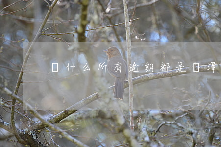 為什么所有逾期都是鷹潭的電話-