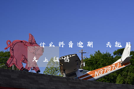 為什么抖音逾期幾天就用不了了(抖音逾期多久上征信)