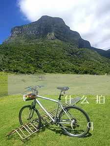 為什么拍拍貸的逾期突然還清了-拍拍貸還請(qǐng)了怎么app還有逾期還款