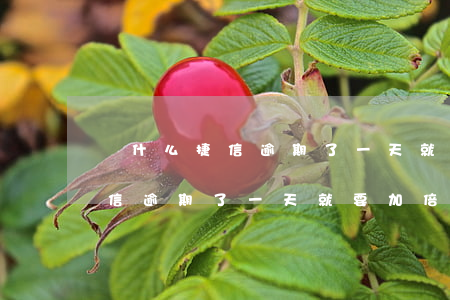 為什么捷信逾期了一天就要加倍-為什么捷信逾期了一天就要加倍還款