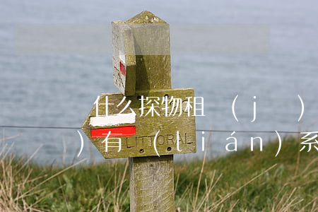 為什么探物租機(jī)逾期了沒(méi)有聯(lián)系我-探物租機(jī)逾期起訴嗎