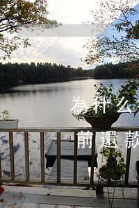 為什么提前還款借唄額度降低了-為什么提前還款借唄額度降低了呢