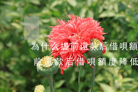 為什么提前還款后借唄額度降低-為什么提前還款后借唄額度降低了