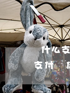 為什么支付寶借唄可每月還款付息-為什么支付寶借唄可每月還款付息不一樣