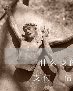 為什么支付寶借唄還款金額不一樣-為什么支付寶借唄還款金額不一樣呢
