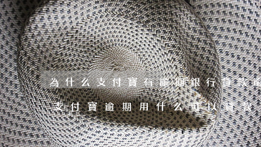 為什么支付寶有逾期銀行貸款還是可以貸款（支付寶逾期用什么可以貸款）