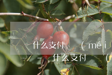 為什么支付寶沒(méi)逾期借不了充電寶-為什么支付寶沒(méi)逾期借不了充電寶了