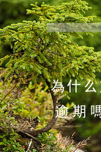 為什么支付寶突然顯示有逾期行為(支付寶有逾期嗎)
