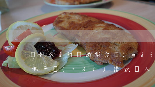 為什么支付寶逾期后沒(méi)辦法在其他平臺(tái)借款（別人支付寶逾期然后還管我借錢(qián)）