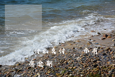 為什么支付寶顯示有賬單逾期行為-支付寶有逾期記錄