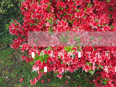 為什么明明還了信用卡還逾期（信用卡要是逾期沒(méi)有還款會(huì)怎樣）