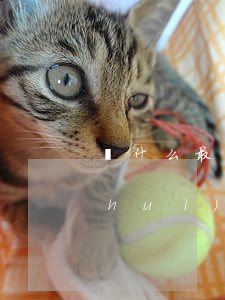 為什么最近信用卡都降額了（信用卡逾期會(huì)一直降額嗎）