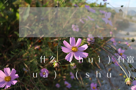 為什么會(huì)有富寶貸的打電話(huà)說(shuō)逾期-為什么會(huì)有富寶貸的打電話(huà)說(shuō)逾期呢
