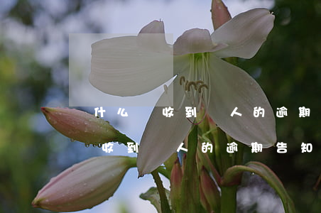 為什么會收到別人的逾期告知短信-為什么會收到別人的逾期告知短信通知
