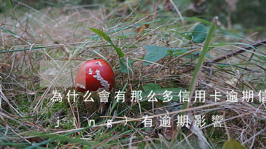 為什么會有那么多信用卡逾期(信用卡 曾經(jīng)有逾期 影響)
