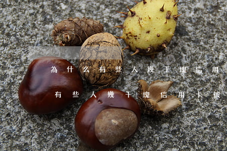 為什么有些人幾千塊信用卡被起訴-為什么有些人幾千塊信用卡被起訴了