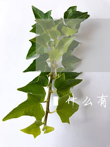 為什么有人離婚還打官司(夫妻離婚打官司)