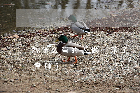 為什么有的人做一輩子，卻只是老律師而非大律師？