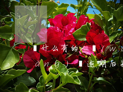 為什么有的人網(wǎng)貸逾期(網(wǎng)貸逾期后果嚴(yán)重嗎)