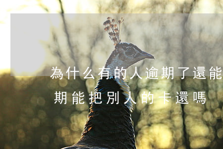 為什么有的人逾期了還能辦信用卡（信用卡逾期能把別人的卡還嗎）