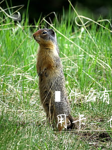 為什么有逾期記錄不能申請(qǐng)信用卡-信用卡逾期了還能申請(qǐng)信用卡嗎