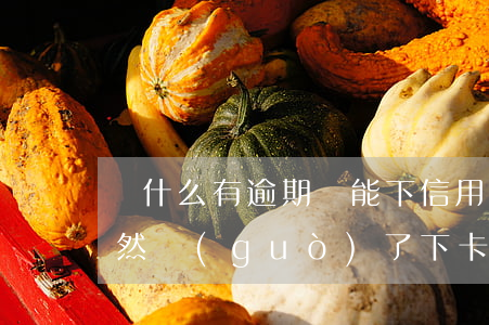 為什么有逾期還能下信用卡(有逾期信用卡竟然過(guò)了下卡了)