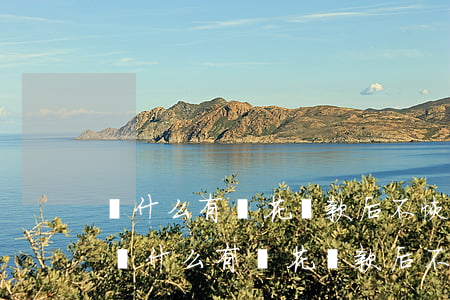 為什么有錢花還款后不恢復(fù)額度-為什么有錢花還款后不恢復(fù)額度了