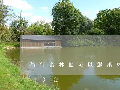 為什么林地可以繼承(林地繼承法律規(guī)定)