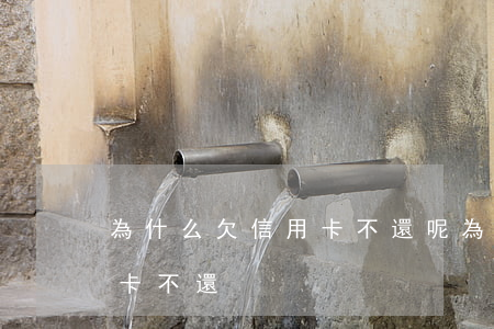 為什么欠信用卡不還呢(為什么好多人欠信用卡不還)