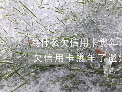 為什么欠信用卡幾年了還沒有起訴-為什么欠信用卡幾年了還沒有起訴呢