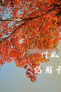 為什么欠信用卡的錢不會被起訴-為什么欠信用卡的錢不會被起訴呢