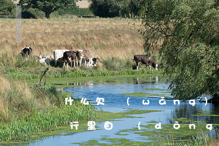 為什么欠網(wǎng)貸會(huì)在銀行里自動(dòng)扣錢(欠網(wǎng)貸錢會(huì)扣別的銀行卡嗎)