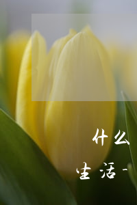 為什么欠網(wǎng)貸無法過正常人的生活-為什么欠網(wǎng)貸的人那么多不還