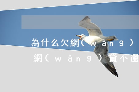為什么欠網(wǎng)貸的人不還(有人欠網(wǎng)貸不還的嗎)