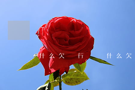 為什么欠銀行錢(為什么欠銀行錢一直不找我)