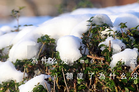 為什么沒(méi)有逾期的信用卡沒(méi)額度了(為什么沒(méi)有逾期的信用卡沒(méi)額度了呢)