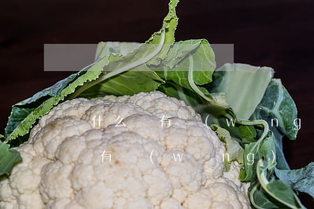 為什么沒有網(wǎng)貸卻逾期(為什么沒有網(wǎng)貸卻逾期)