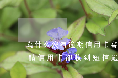為什么沒有逾期信用卡審核還沒通過（沒有申請信用卡卻收到短信逾期）