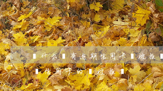 為什么沒有逾期信用卡會被拒(從來沒有申請過信用卡的會被拒嗎?)