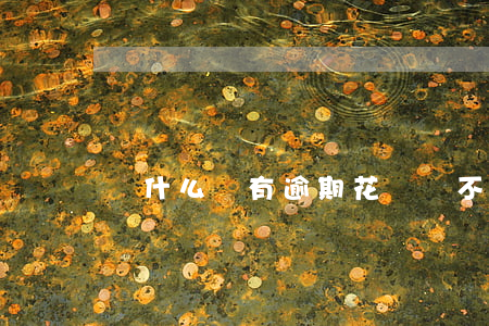 為什么沒有逾期花唄卻不能用了-