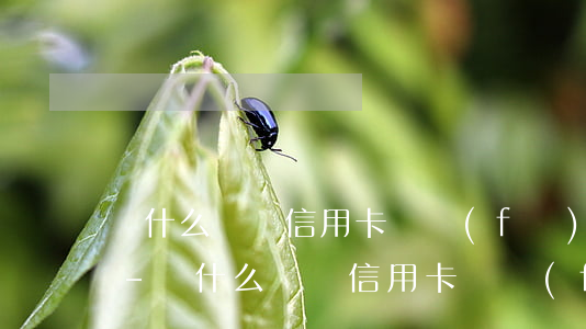 為什么沒辦信用卡會發(fā)短信說逾期-為什么沒辦信用卡會發(fā)短信說逾期了