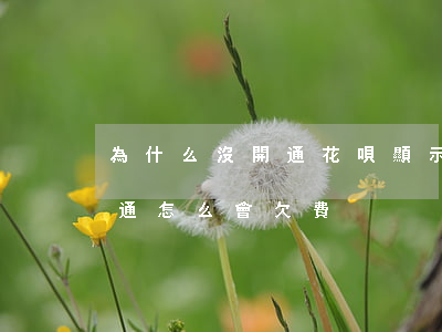 為什么沒開通花唄顯示花唄逾期-花唄沒開通怎么會欠費