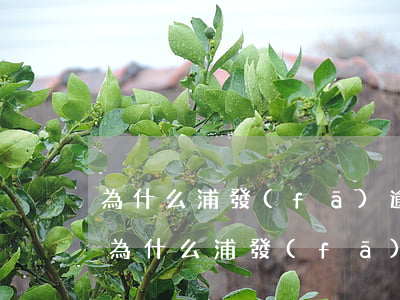 為什么浦發(fā)逾期就不能還最低款-為什么浦發(fā)逾期就不能還最低款了呢