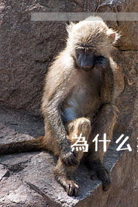 為什么無性婚姻要離婚(無性婚姻離婚率高嗎?)