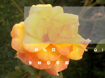 為什么牙齒補(bǔ)了以后還痛（不同信用卡利息不同嗎）
